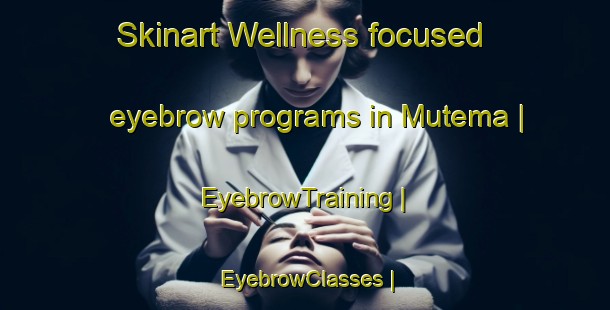 Skinart Wellness-focused eyebrow programs in Mutema | EyebrowTraining | EyebrowClasses | SkinartTraining-Zimbabwe